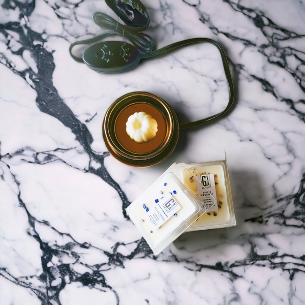 -Sold Out-Wax Warmer Starter Bundle