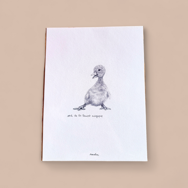 "Picou the Duckling" 15x20cm Print by Narrature | Made in France on Handmade Paper