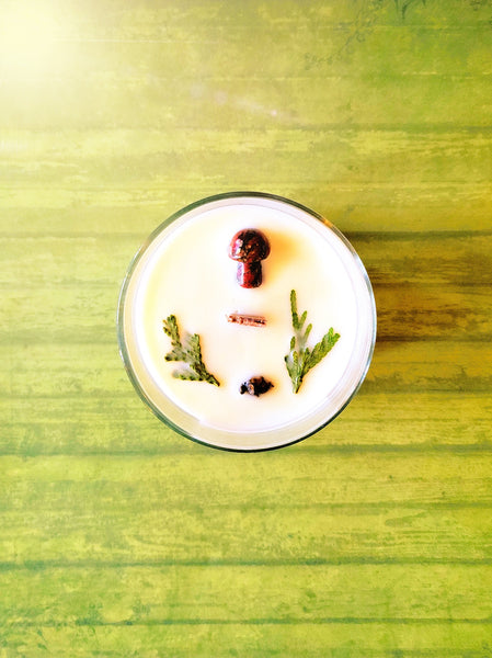 Wood Wick Soy Candle | Mountains + Foraging