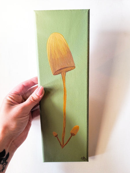 Sage Dreams Mushroom Canvas Wall Art